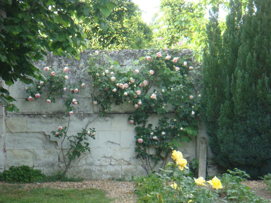 Villa Chanelle Les Rosiers-sur-Loire Exterior photo